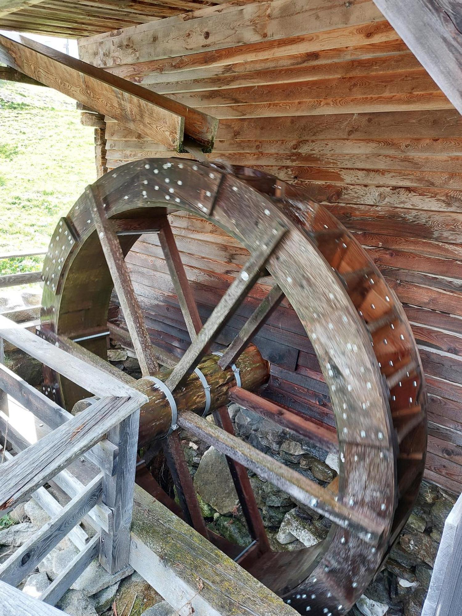 Blosegghof Bergchalets Waldblick Racines Bagian luar foto