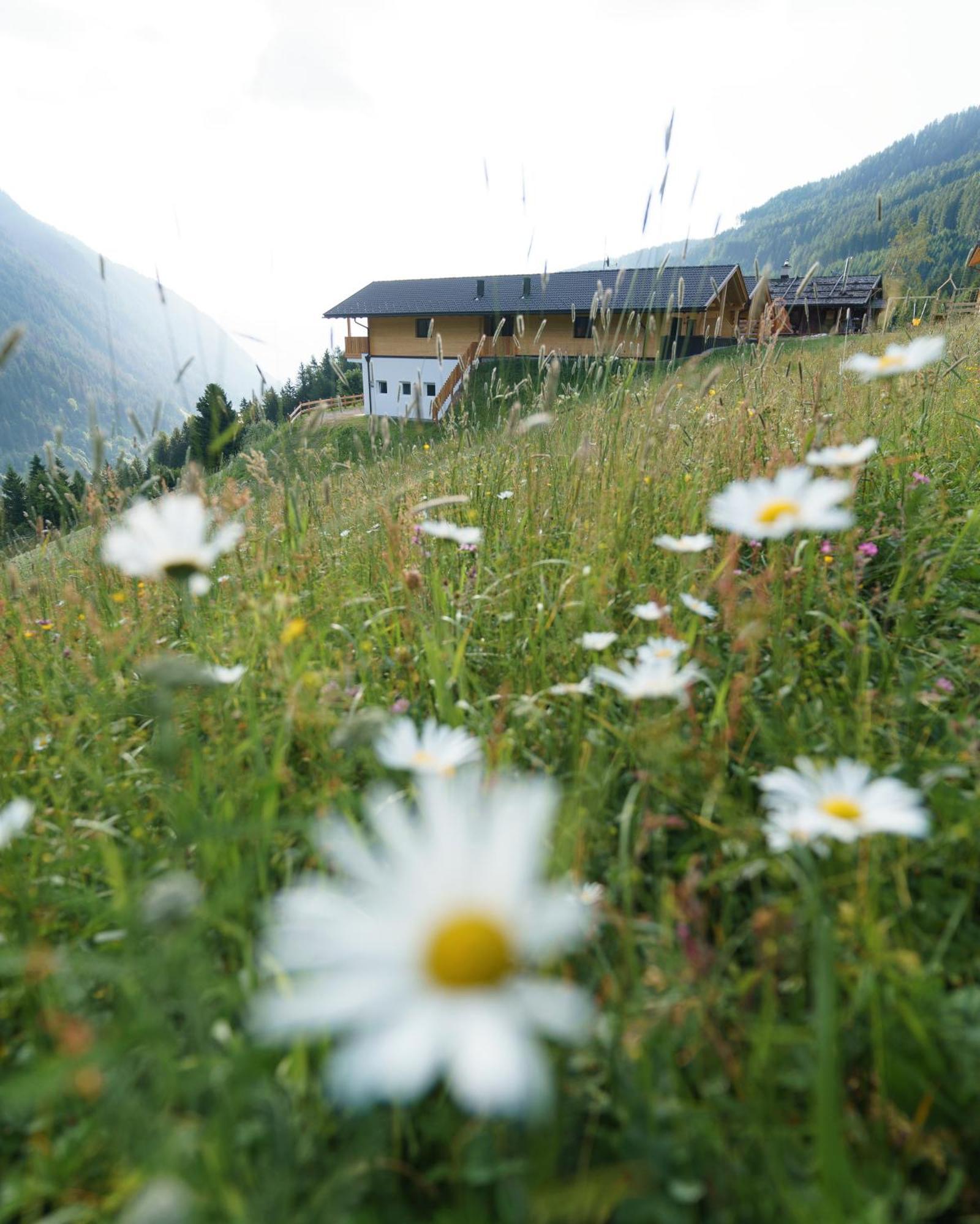 Blosegghof Bergchalets Waldblick Racines Bagian luar foto